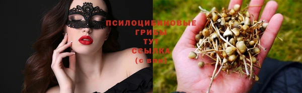 мяу мяу кристалл Магас